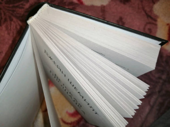 Джейн Шемилт: Детская площадка