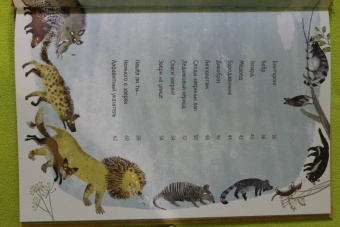 Зоммер, Тейлор: Большая книга зверей