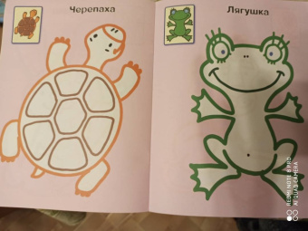 Животные 1+. Самые первые раскраски с широким контуром