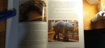 Андрей Шпанский: О мамонтах и их спутниках. Палеоэкология мамонтовой фауны