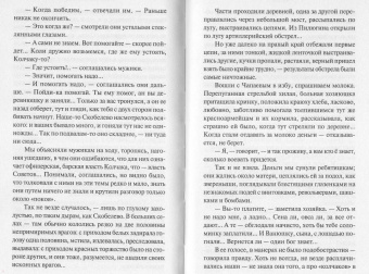 Дмитрий Фурманов: Чапаев