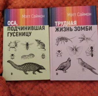 Мэтт Саймон: Трудная жизнь зомби