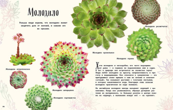 Бен Хоар: Чудеса природы. Энциклопедия