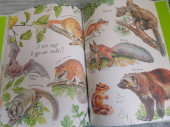 Николай Сладков: Лесные сказки