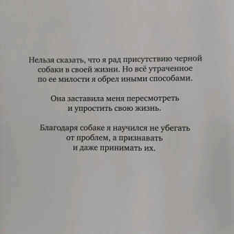 Мэттью Джонстон: У меня была черная собака. Звали ее Депрессия