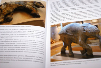 Андрей Шпанский: О мамонтах и их спутниках. Палеоэкология мамонтовой фауны