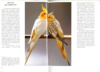 Курт Колар: Кореллы. Содержание и уход