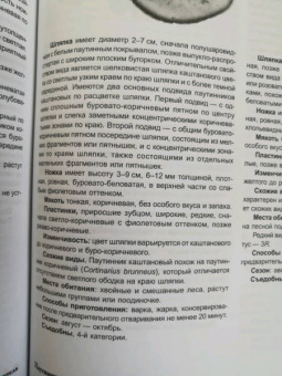 Матанцев, Матанцева: Грибы. Справочник-определитель