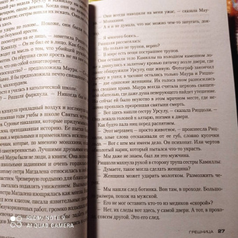 Тесс Герритсен: Грешница