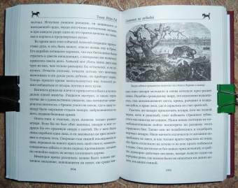 Рид Майн: Письмо и пуля