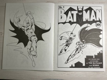 Супергерои DC COMICS. Более 100 сцен для раскрашивания