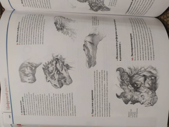 ImagineFX: Анатомия. Создание реалистичных людей и животных + мастер-классы по QR-коду