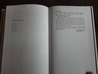 Ю Несбё: Полиция