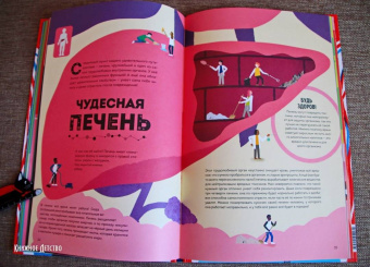 Макс Пембертон: Тело человека. Как работает наш удивительный организм
