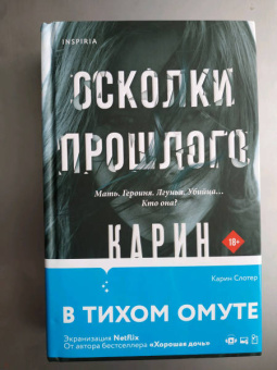 Карин Слотер: Осколки прошлого
