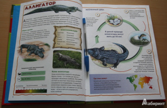 Моя первая книга о животных