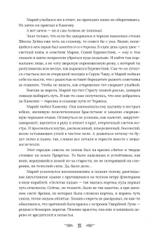Анита Феверс: Огневица