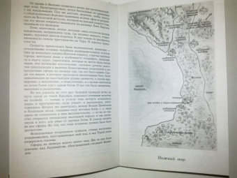 Ирина Котова: Королевская кровь. Расколотый мир