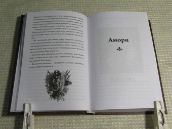 Александр Дюма: Приключения Лидерика. Амори