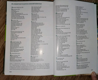 Владимир Бабенко: Животные рядом с нами