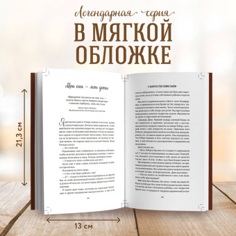 Джек Кэнфилд: Куриный бульон для души. Мама и сын. 101 история о безграничной любви