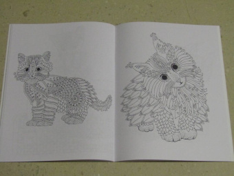 Линда Тейлор: Cats-7. Очаровательные котята. Творческая раскраска