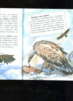 Виталий Танасийчук: Сколько глаз у стрекозы?