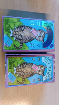 Котт Линн: Cat Tarot. Таро Котиков, 78 карт и руководство в подарочном футляре