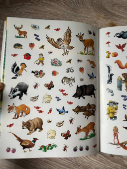 Анна Казалис: В лесу. Книга с наклейками