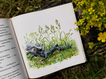 Елена Хаецкая: К - значит Друг