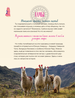 П. Доможиров: Only Lama. ЛАМА! Фанбук. 8 проектов для творчества и вдохновения