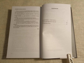 Вайнер, Вайнер: Я, следователь...