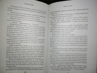 Камилла Гребе: Охота на тень
