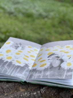 Анастасия Коваленкова: Мышонок, который Там