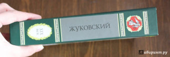 Василий Жуковский: Путь мой лежит по земле к прекрасной, возвышенной цели. Жизнь и поэзия одно