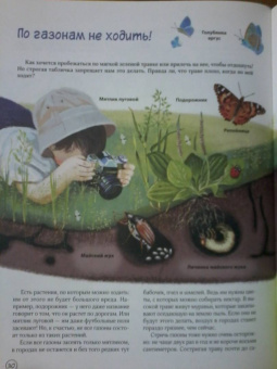 Юлия Смирнова: Природа в городе