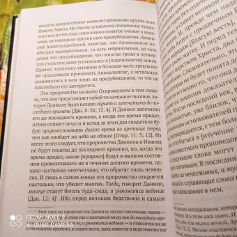 Исаак Ньютон: Толкования на пророчества Даниила и Апокалипсис Иоанна Богослова