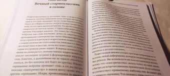 Лоретта Бройнинг: Статусные игры. Серотонин против кортизола, или Как управлять химией мозга