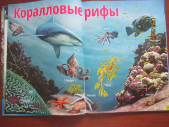 Жизнь животных. Моря и океаны