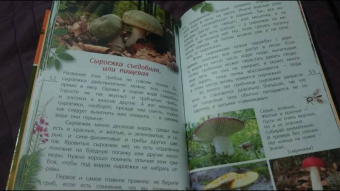 Петр Волцит: Ягоды и грибы