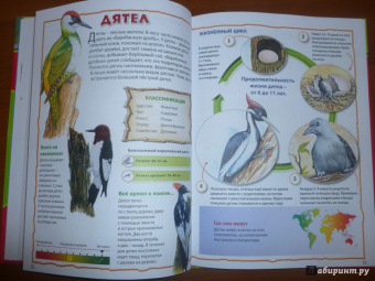 Моя первая книга о животных