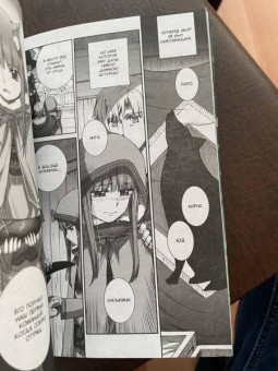 Исуна Хасэкура: Волчица и пряности. Том 13