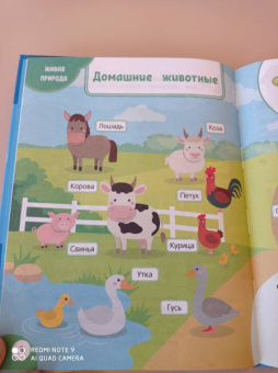 Татьяна Маланка: Моя первая книга открытий. Для детей от 3-х лет
