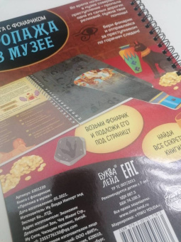Книга с фонариком. Пропажа в музее