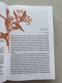 Шарлотта Бронте: Шерли