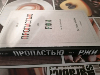 Джером Сэлинджер: Над пропастью во ржи