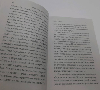 Тибетская книга мертвых. Бардо Тхёдол