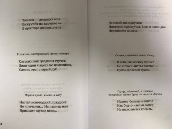 Мацуо Басё: "Лик вечерней луны". Хайку