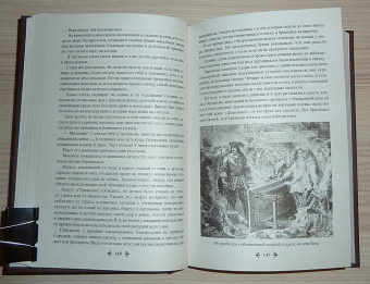 Александр Дюма: Виконт де Бражелон, или Еще десять лет спустя. Том 1