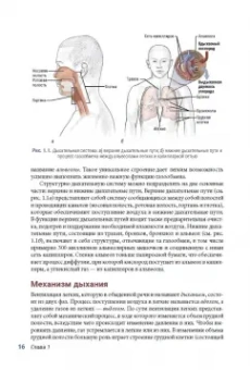 Исаковиц, Клиппингер: Анатомия пилатеса. Иллюстрированное руководство